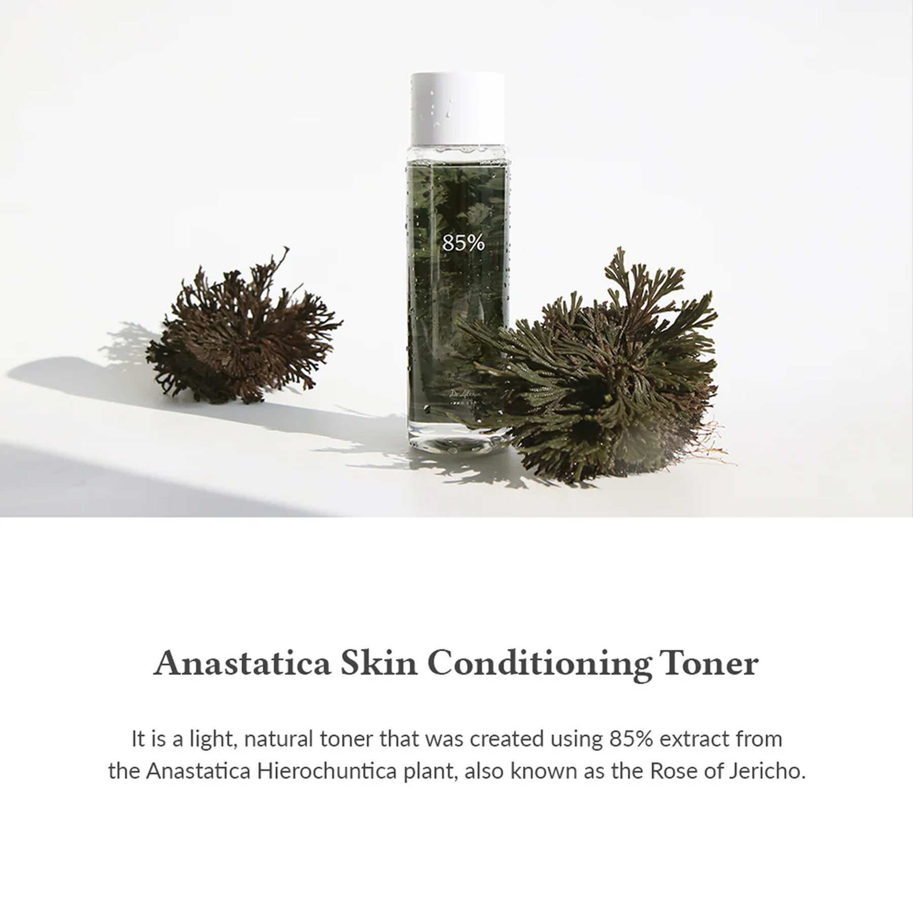 Key Benefits of Dr. Althea Anastatica Skin Conditioning Toner