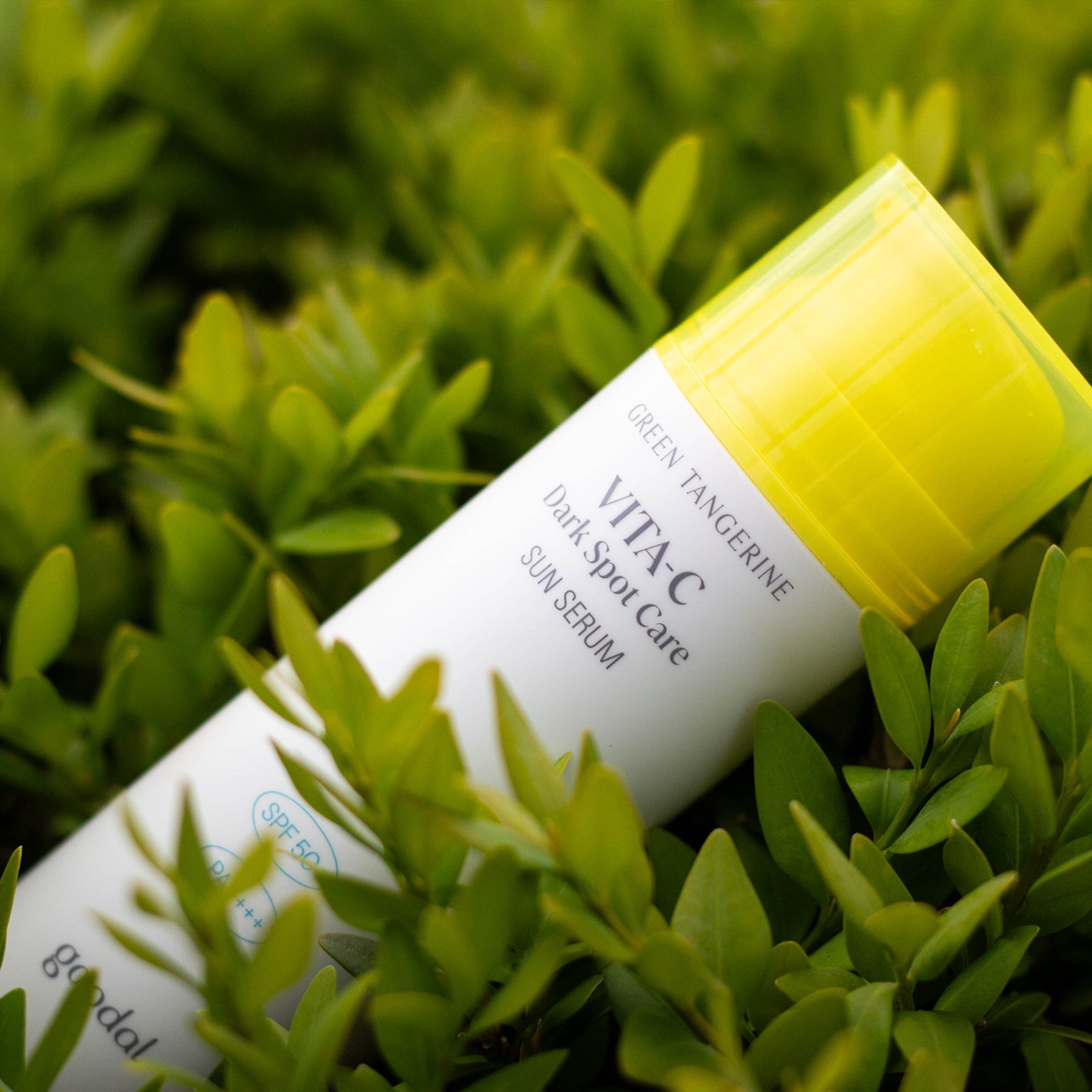 Green Tangerine Vita-C Dark Spot Care Sun Serum