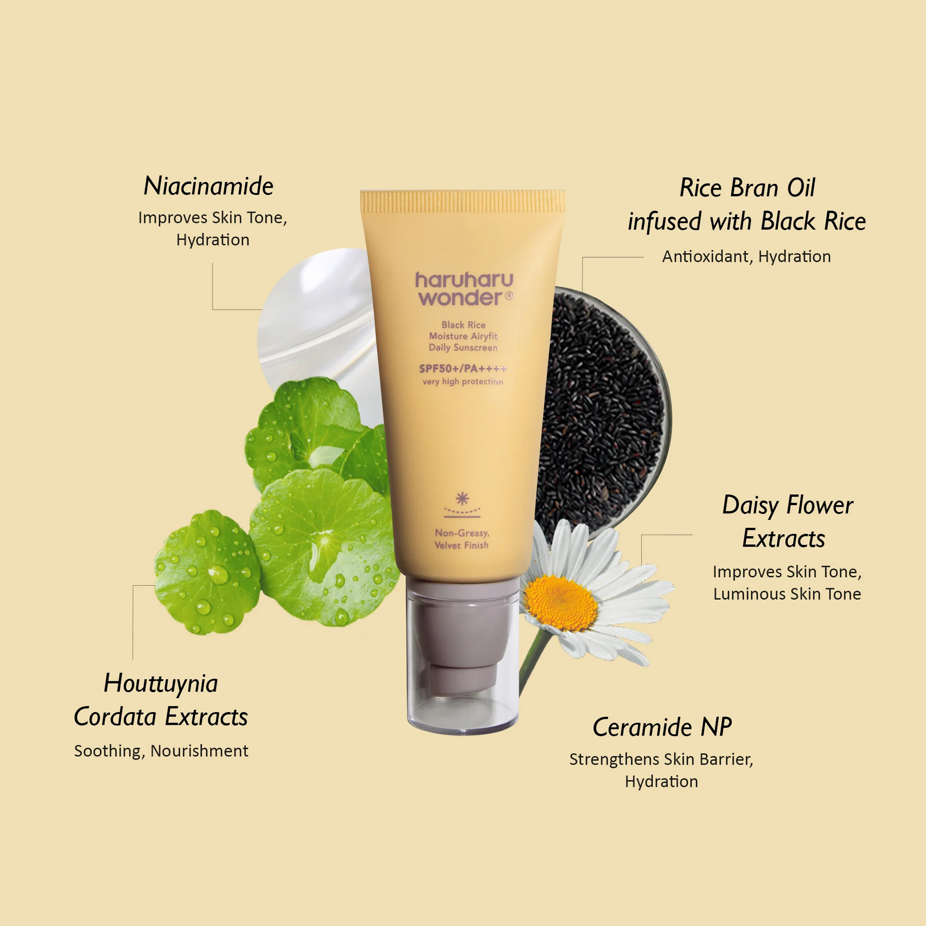 Advantage of using Haruharu Wonder Black Rice Moisture Airyfit Daily Sunscreen