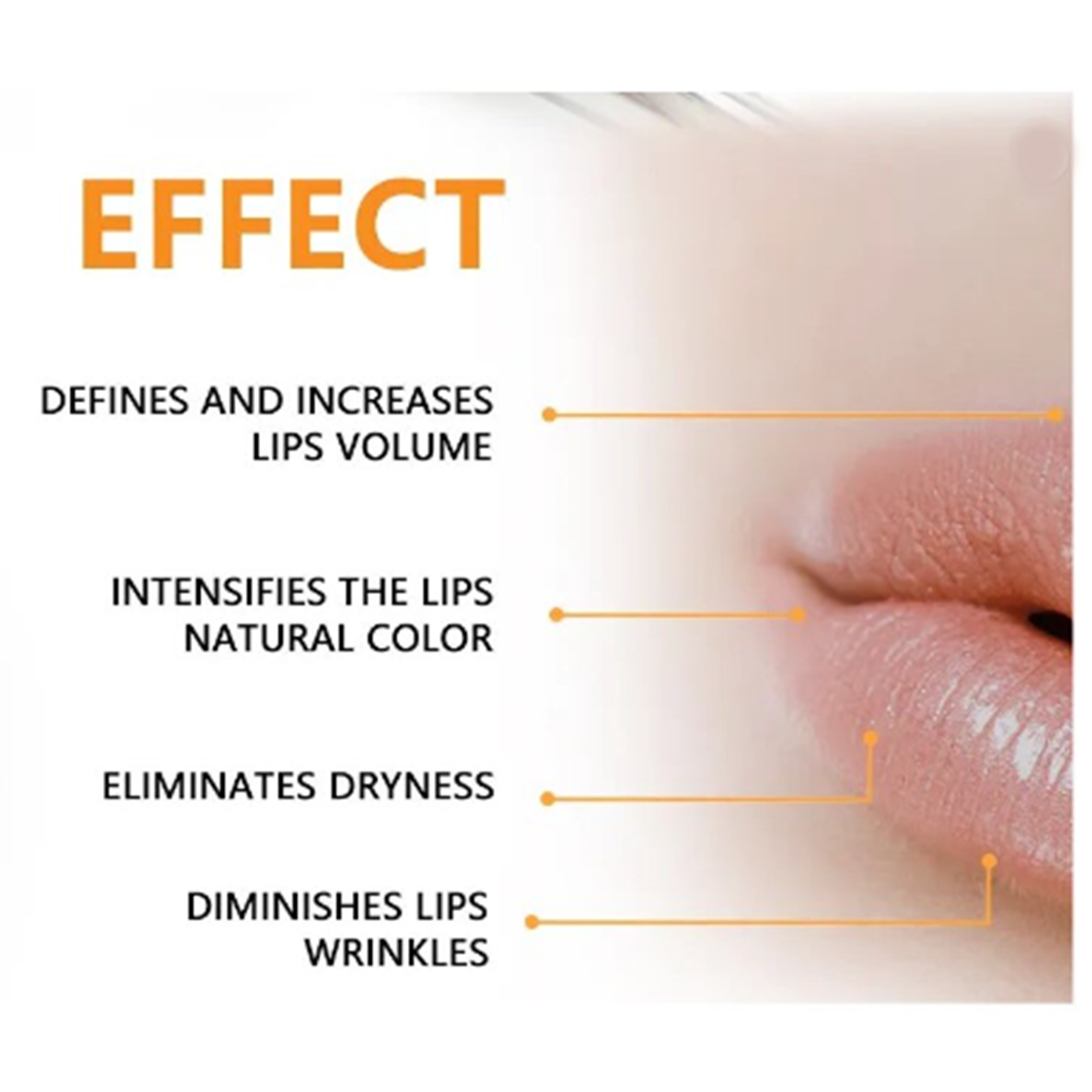 Lip Booster Serum, Microneedle Roller System Kit