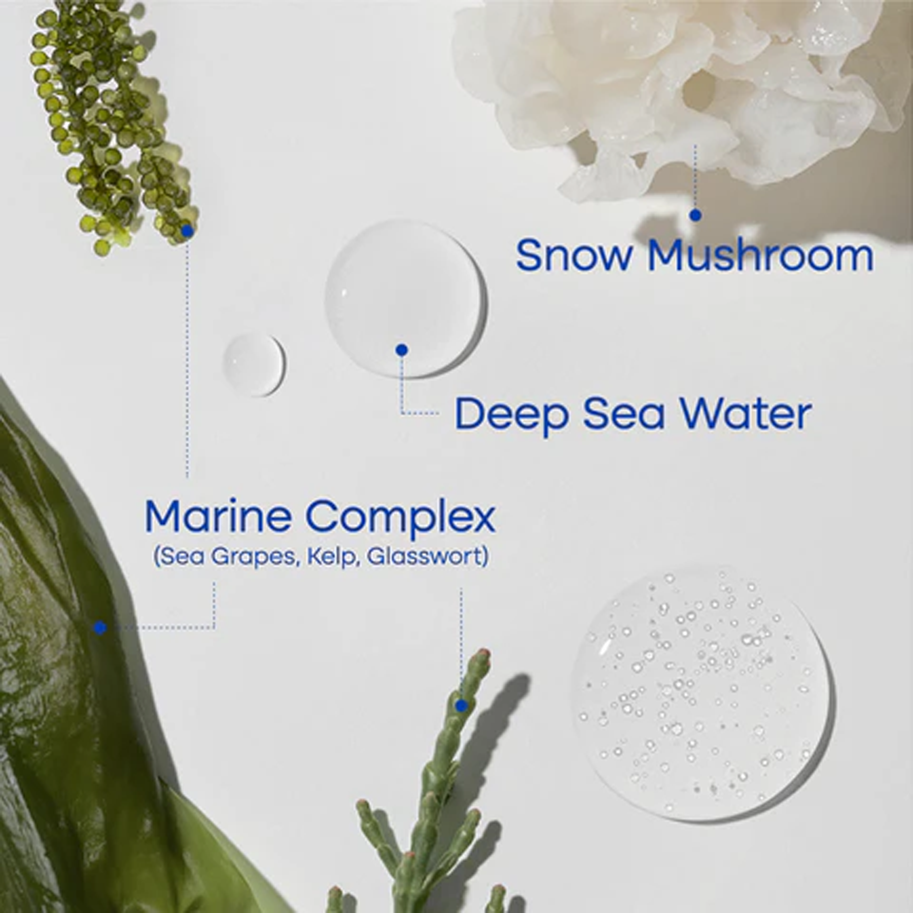 Purito Hydro Wave Deep Sea Serum available on Qasr Jamal Store