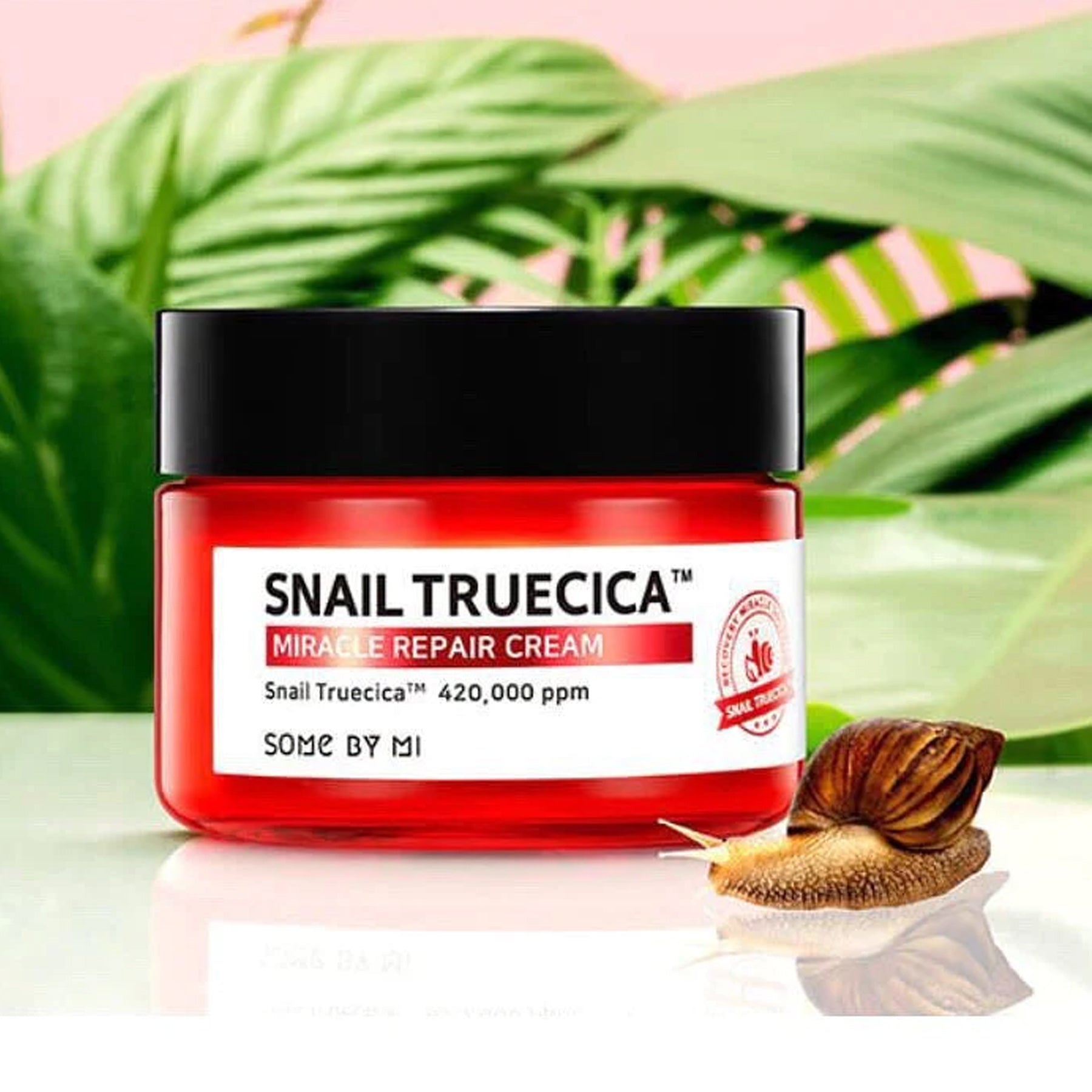 Some By Mi Snail Truecica Miracle Repair Cream - Key Benefits